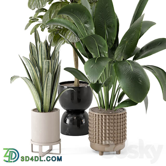 Indoor Plants in Ferm Living Bau Pot Large Set 1044 3D Models