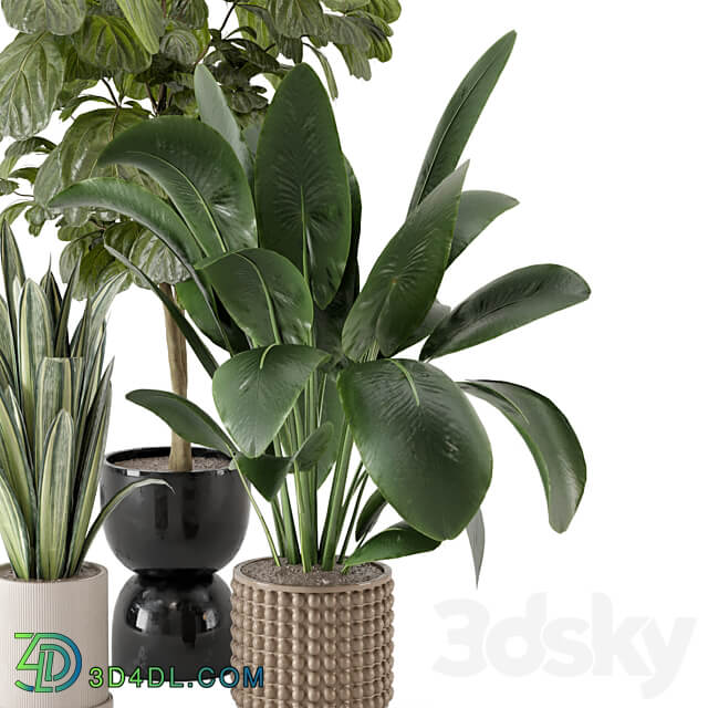 Indoor Plants in Ferm Living Bau Pot Large Set 1044 3D Models