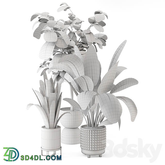 Indoor Plants in Ferm Living Bau Pot Large Set 1044 3D Models