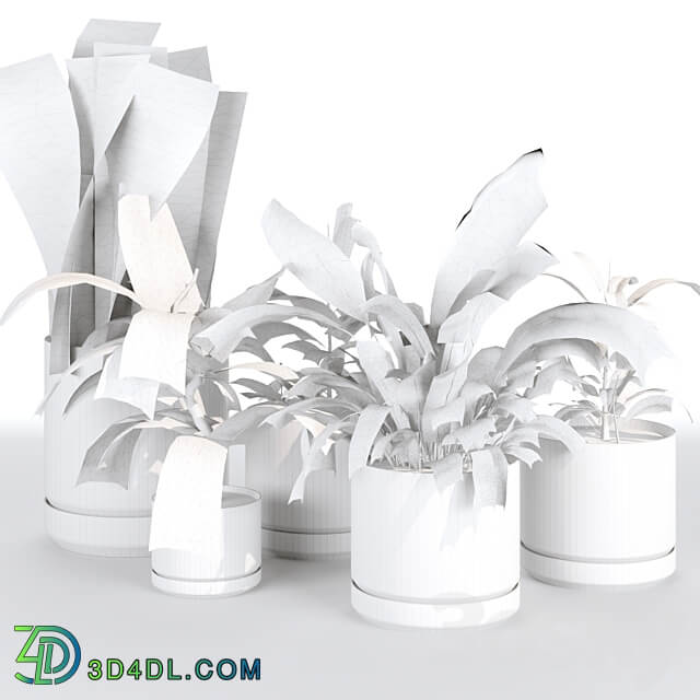 Indoor Plants Collection Set 03 3D Models