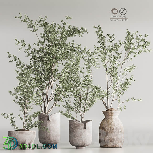 Indoor Plant Set 79 3D Models