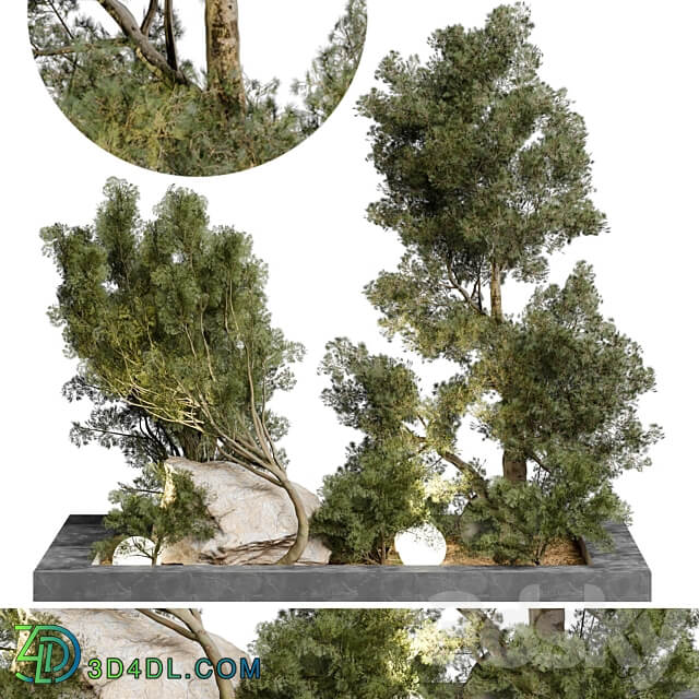 Outdoor Plant 65 3D Models