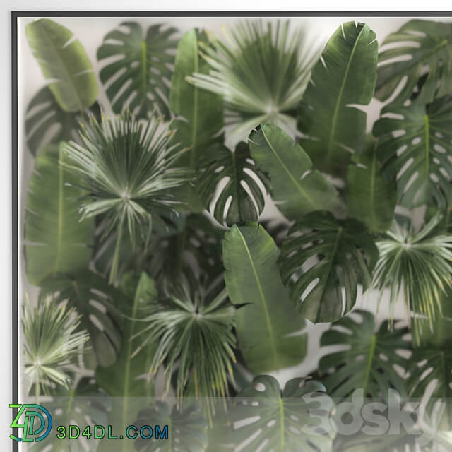 Phytowall and phytobox made of banana palm branches and fan palm leaves in a niche behind a translucent stack. Bouquet 287.