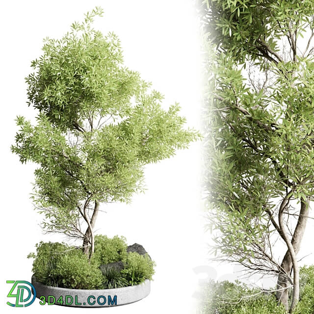 Collection outdoor indoor 85 pot plant tree bush fern the garden pot vray 3D Models