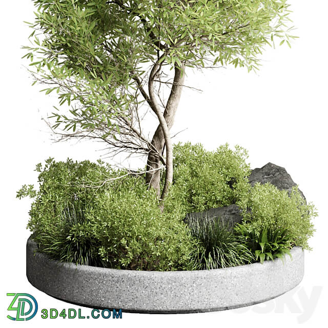 Collection outdoor indoor 85 pot plant tree bush fern the garden pot vray 3D Models