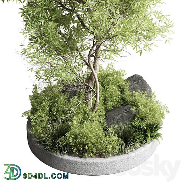 Collection outdoor indoor 85 pot plant tree bush fern the garden pot vray 3D Models