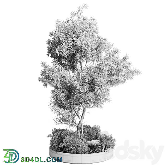 Collection outdoor indoor 85 pot plant tree bush fern the garden pot vray 3D Models