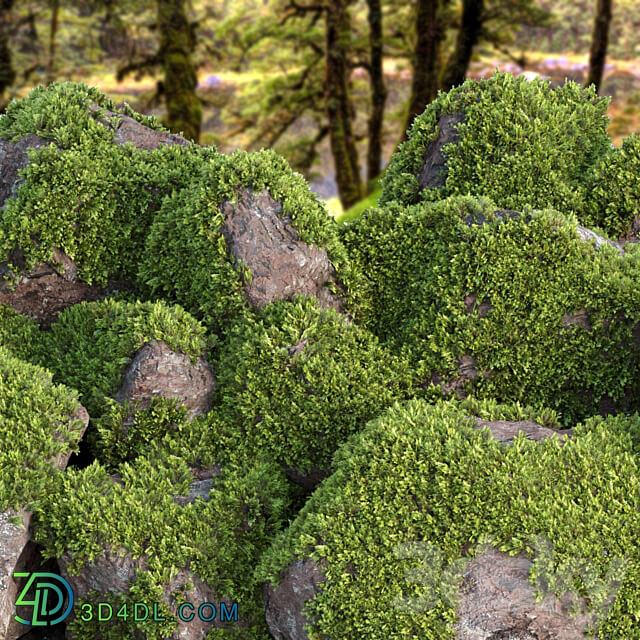 Mossy rock garden collection vol 140 3D Models