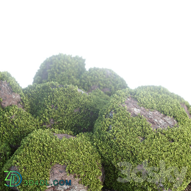 Mossy rock garden collection vol 140 3D Models