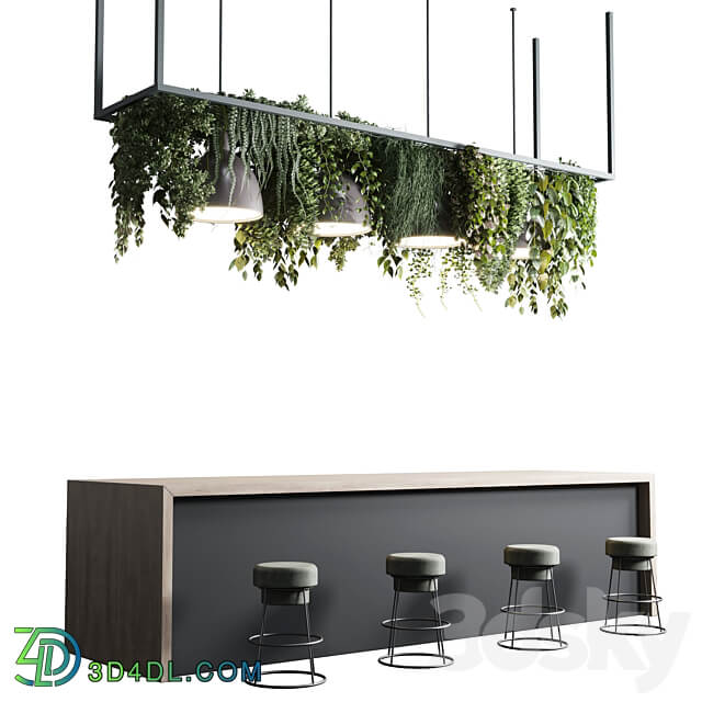 Coffee shop reception Restaurant counter by hanging plant 04 3D Models