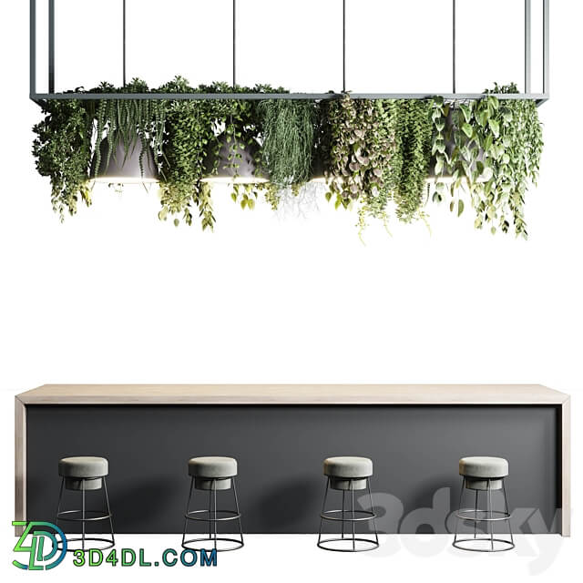 Coffee shop reception Restaurant counter by hanging plant 04 3D Models