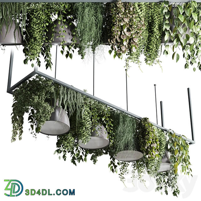 Coffee shop reception Restaurant counter by hanging plant 04 3D Models