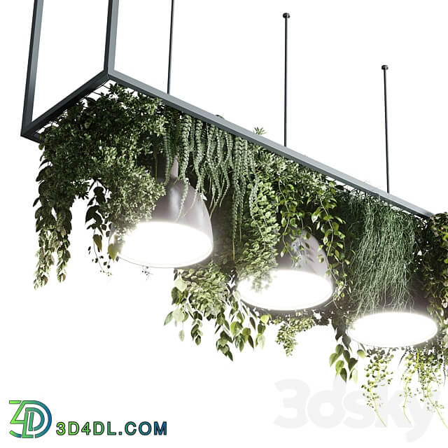 Coffee shop reception Restaurant counter by hanging plant 04 3D Models