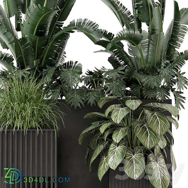 Outdoor Plants Bush in Metal Pot Set 1074 3D Models