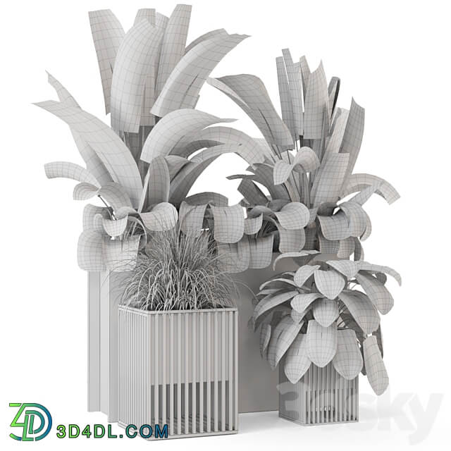 Outdoor Plants Bush in Metal Pot Set 1074 3D Models