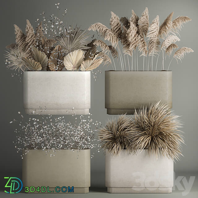 Collection of plants from dried flowers, moonflower, a bouquet of dry palm branches, dry grass decoration, natural decor .1121.