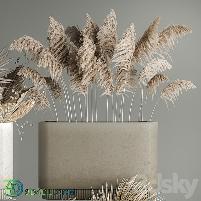 Collection of plants from dried flowers, moonflower, a bouquet of dry palm branches, dry grass decoration, natural decor .1121.