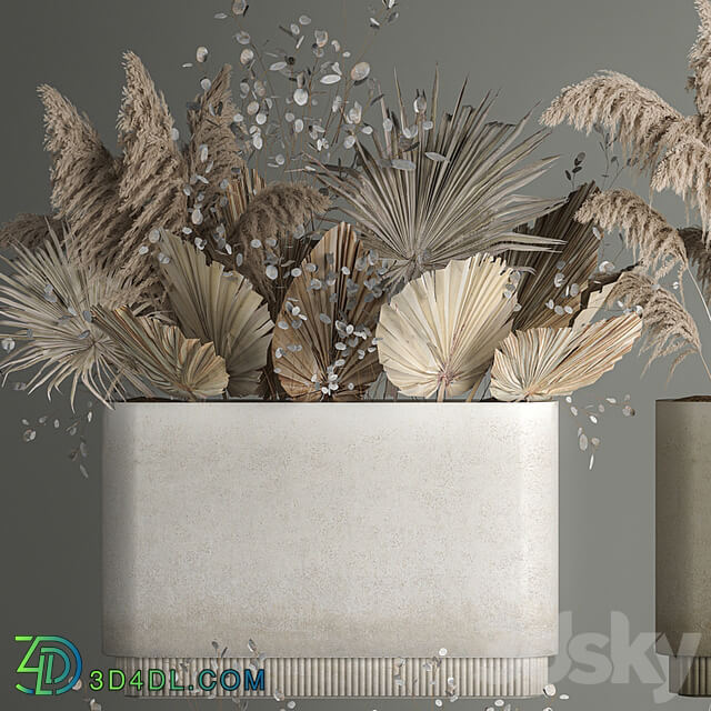 Collection of plants from dried flowers, moonflower, a bouquet of dry palm branches, dry grass decoration, natural decor .1121.