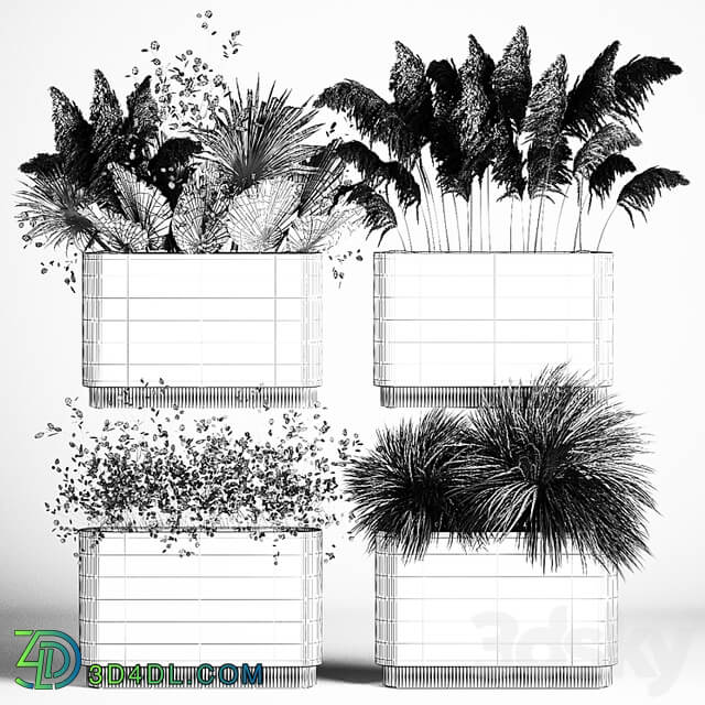 Collection of plants from dried flowers, moonflower, a bouquet of dry palm branches, dry grass decoration, natural decor .1121.