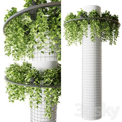 Column with hanging plants epipremnum 3D Models 