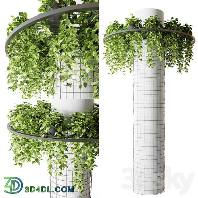 Column with hanging plants epipremnum 3D Models