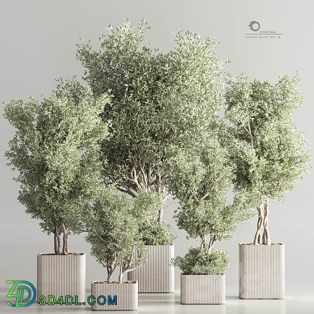 Indoor Plant Set 82 3D Models