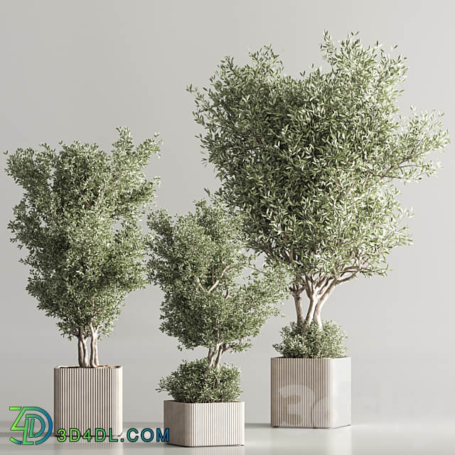 Indoor Plant Set 82 3D Models