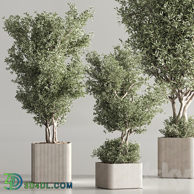 Indoor Plant Set 82 3D Models