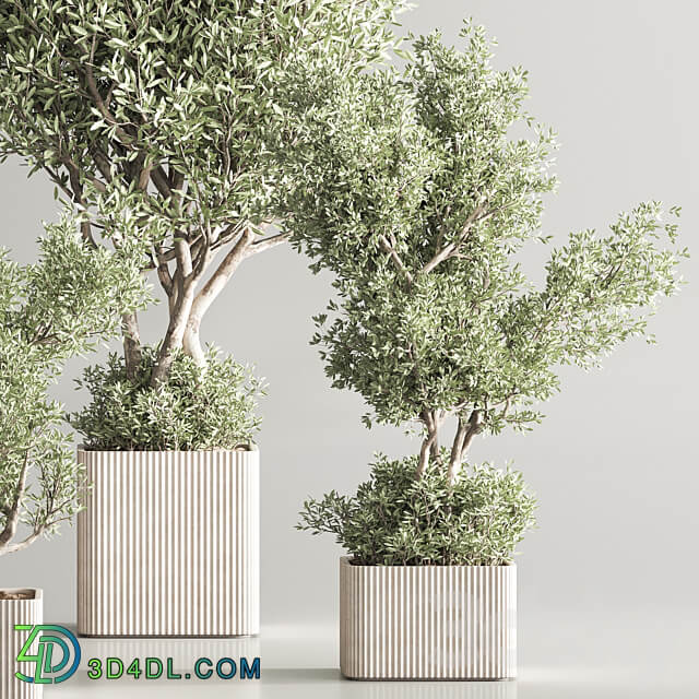 Indoor Plant Set 82 3D Models