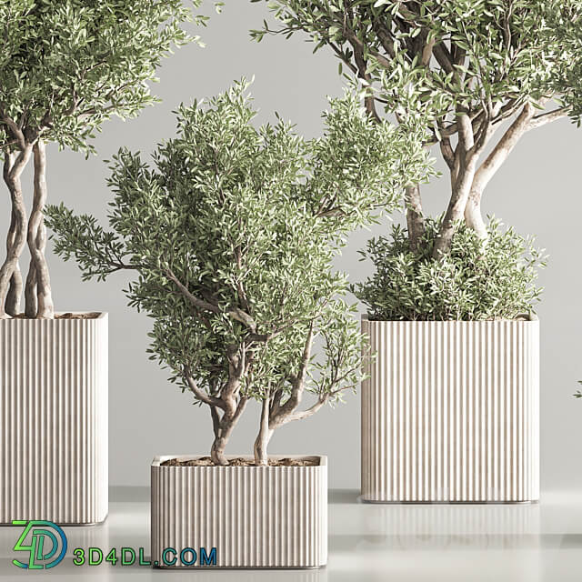 Indoor Plant Set 82 3D Models