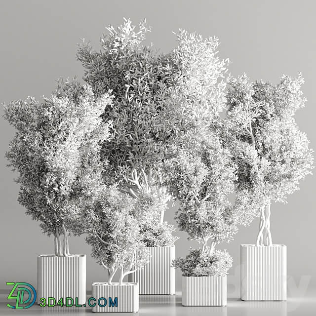 Indoor Plant Set 82 3D Models