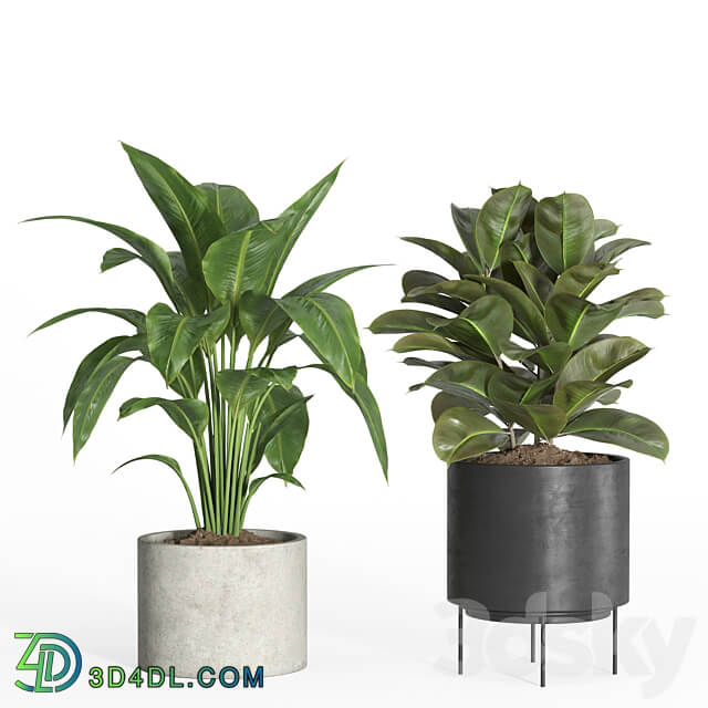 indoor plant set 35 concrete and metal pot 3D Models