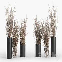 Dry Branch 3D Models 