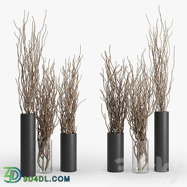 Dry Branch 3D Models