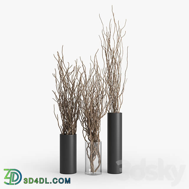 Dry Branch 3D Models