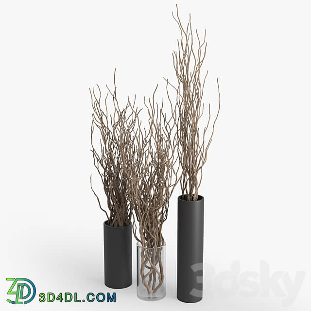 Dry Branch 3D Models