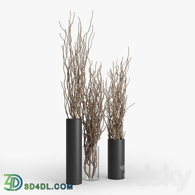 Dry Branch 3D Models