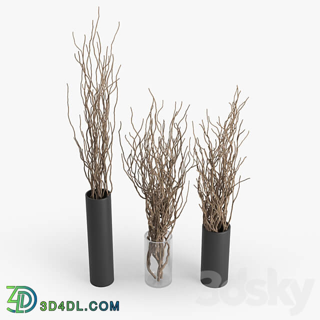 Dry Branch 3D Models