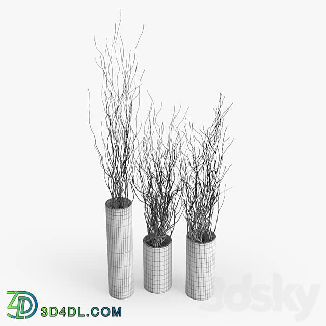 Dry Branch 3D Models