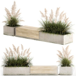 Decorative bench flowerbed for the urban environment and landscape design in a concrete flowerpot with bushes of reeds and white pampas grass, Cortaderia. 1144. 