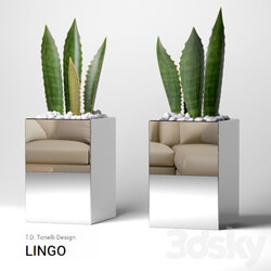 vase LINGO 3D Models 