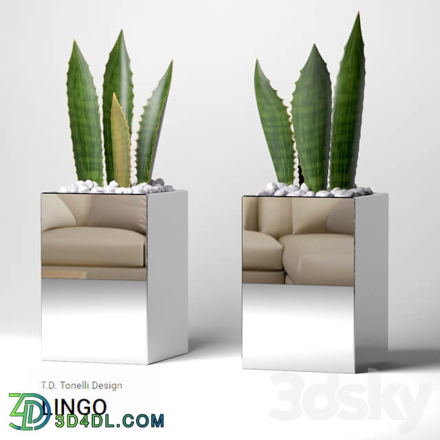 vase LINGO 3D Models