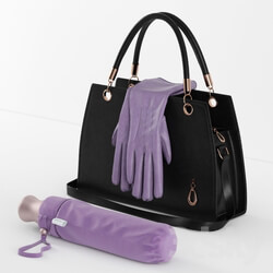 Other decorative objects - bags_ gloves and an umbrella in the bag 