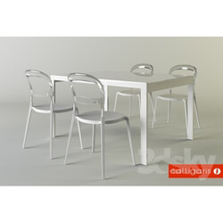 Table _ Chair - Calligaris 