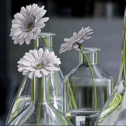 Plant - Decorative vase with gerbera flower 
