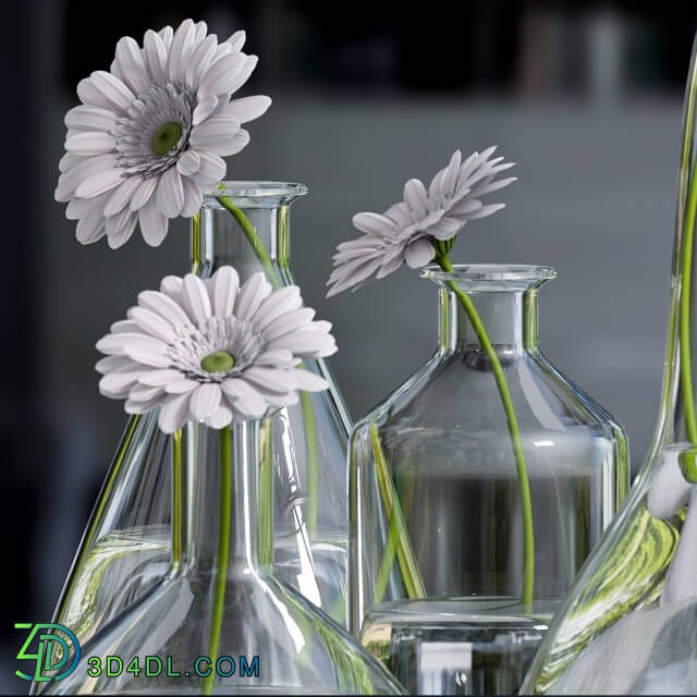 Plant - Decorative vase with gerbera flower