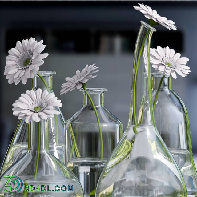 Plant - Decorative vase with gerbera flower