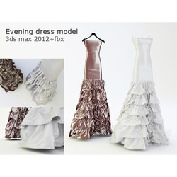 Clothes and shoes - Evening dress 