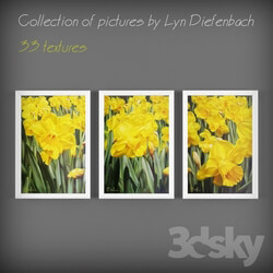 Frame - Collection of pictures by Lyn Diefenbach 