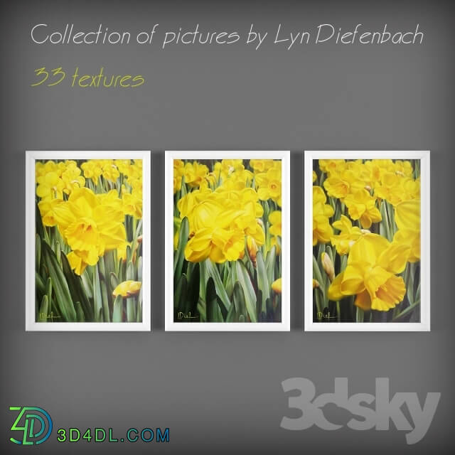 Frame - Collection of pictures by Lyn Diefenbach